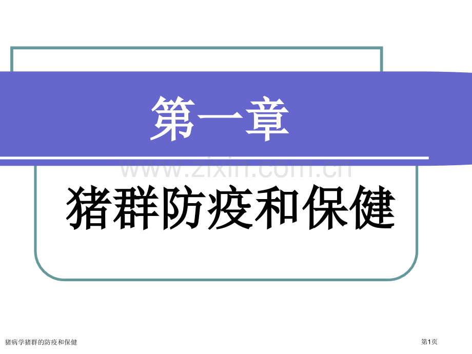 猪病学猪群的防疫和保健专家讲座.pptx_第1页