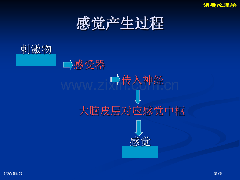 消费心理过程.pptx_第3页