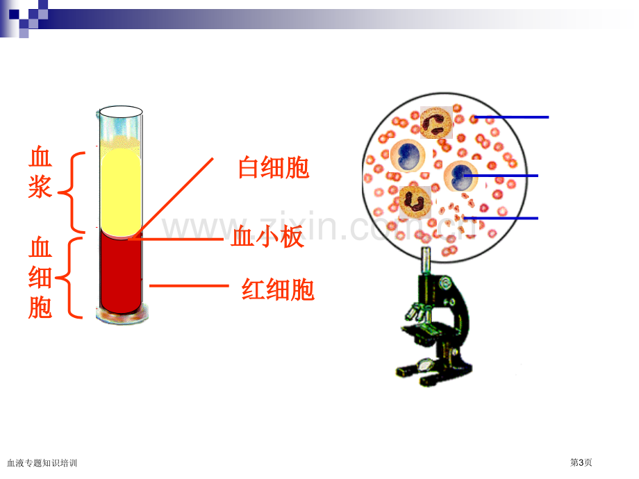 血液专题知识培训专家讲座.pptx_第3页