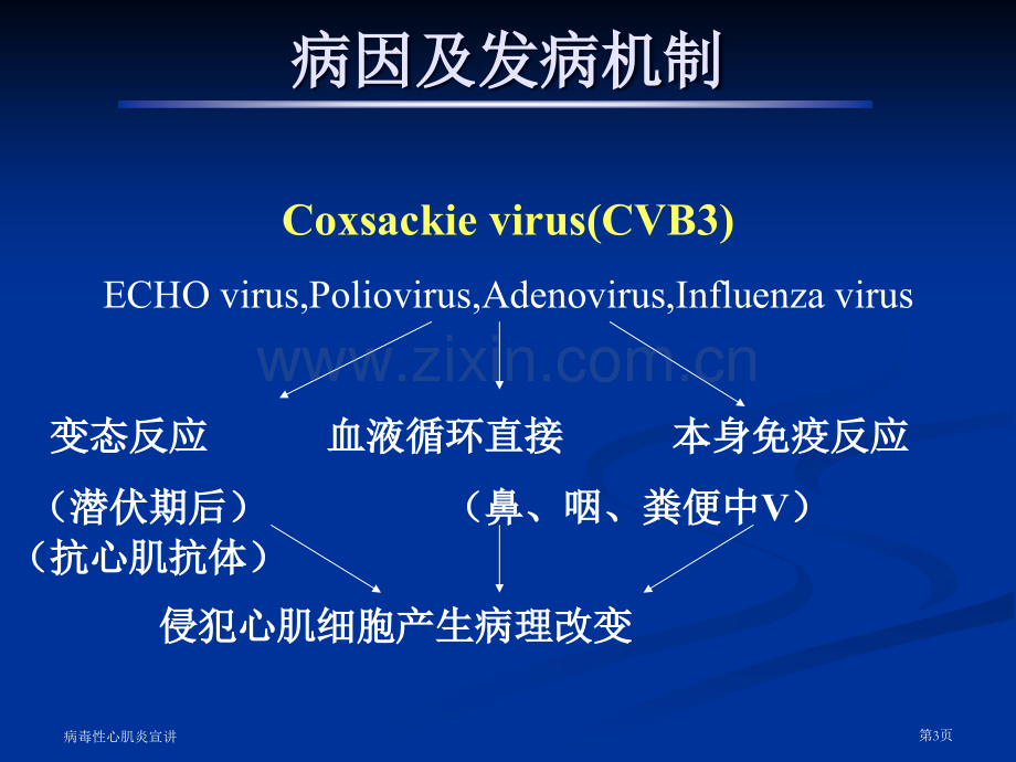 病毒性心肌炎宣讲专家讲座.pptx_第3页