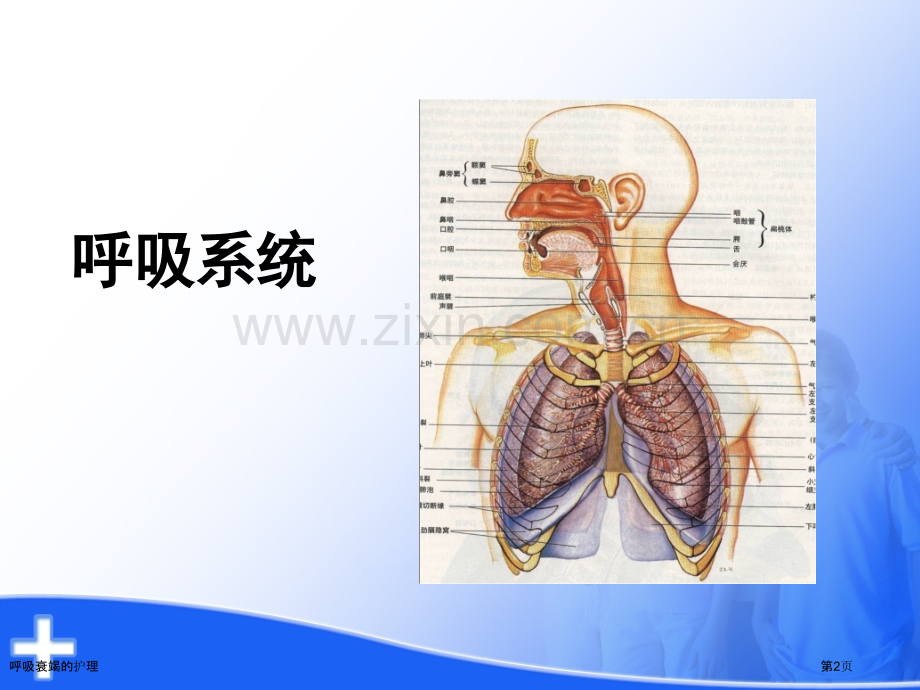 呼吸衰竭的护理专家讲座.pptx_第2页