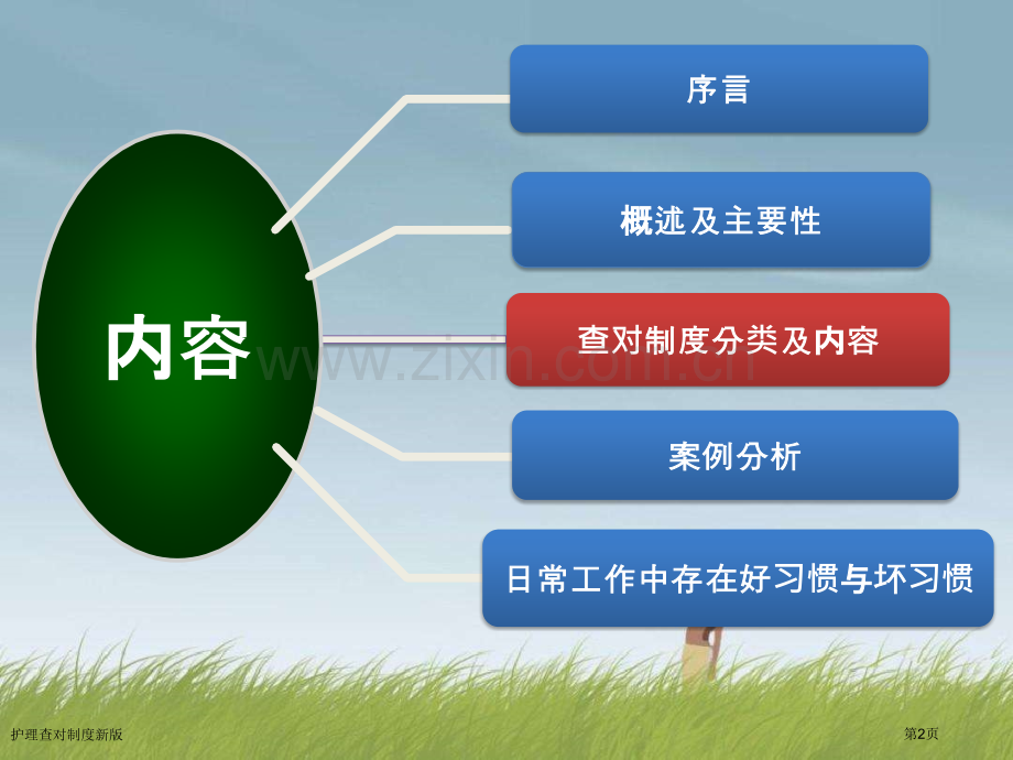 护理查对制度新版.pptx_第2页