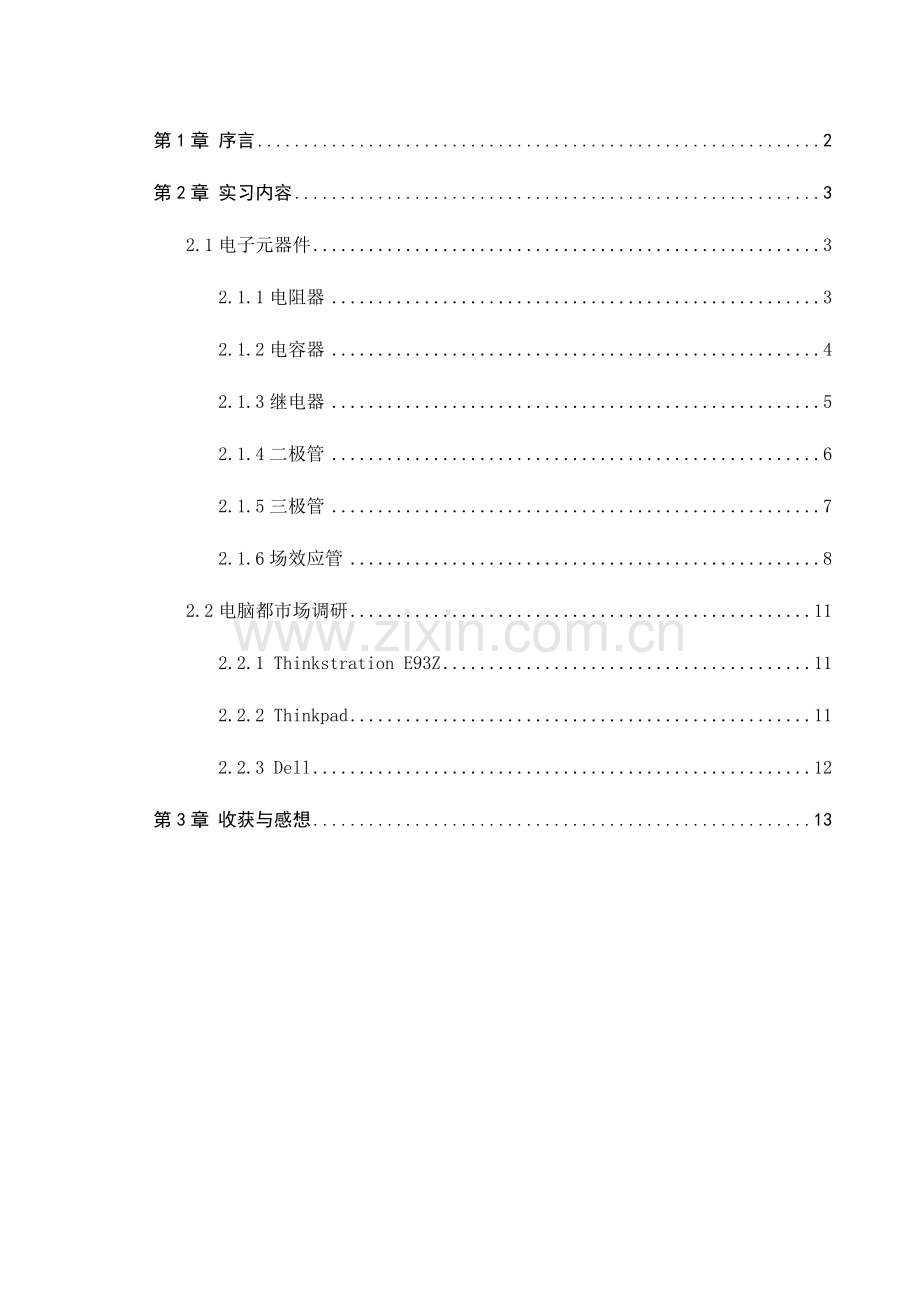 电子市场调查报告.doc_第3页