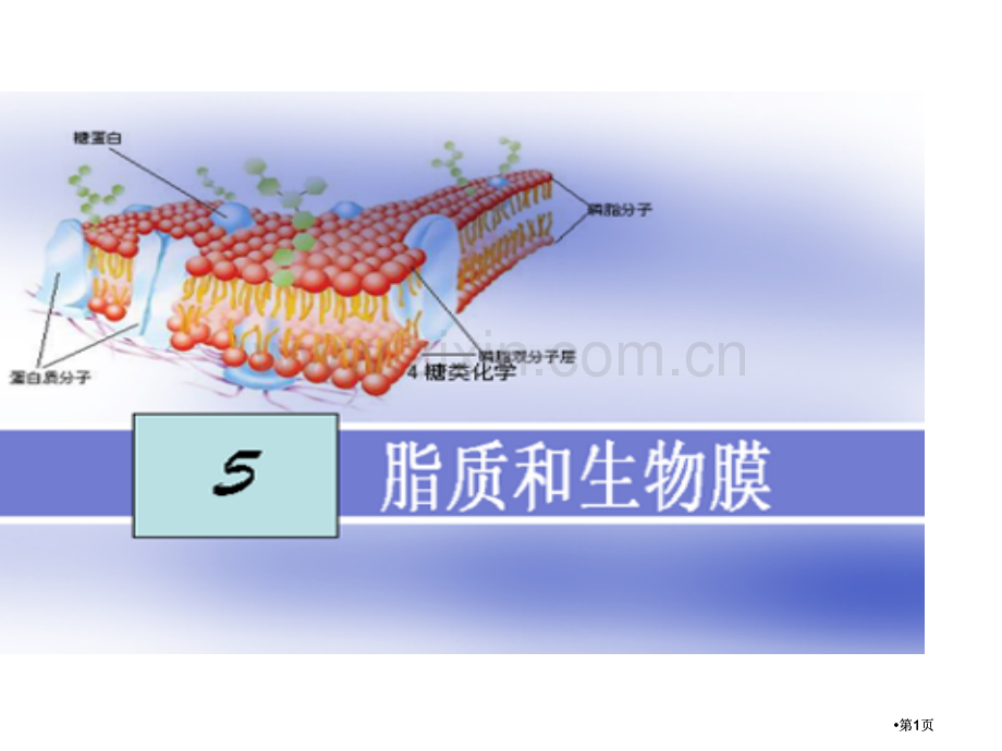 生物化学脂质和生物膜公开课一等奖优质课大赛微课获奖课件.pptx_第1页