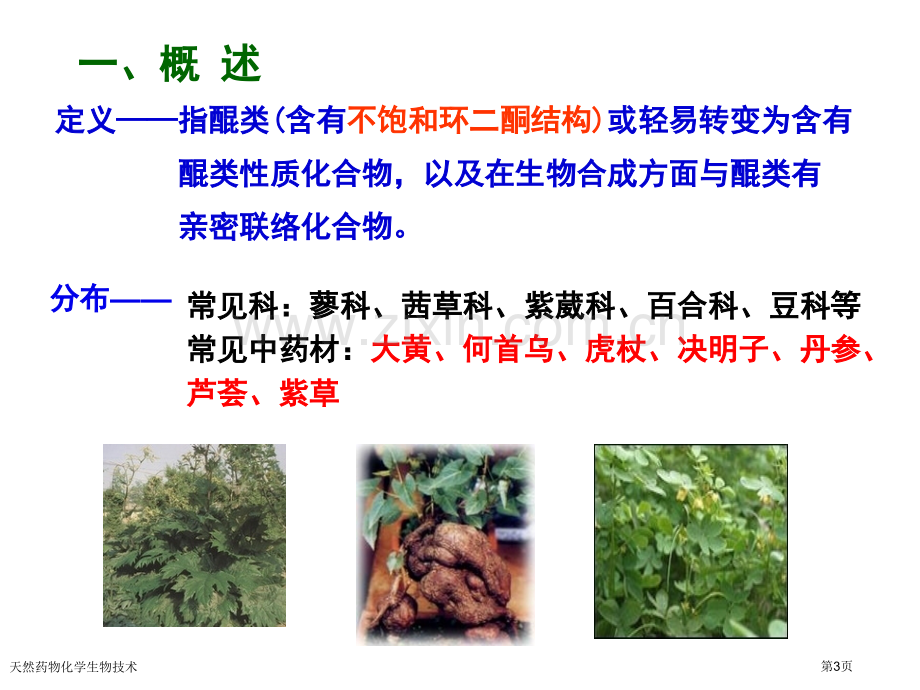 天然药物化学生物技术专家讲座.pptx_第3页