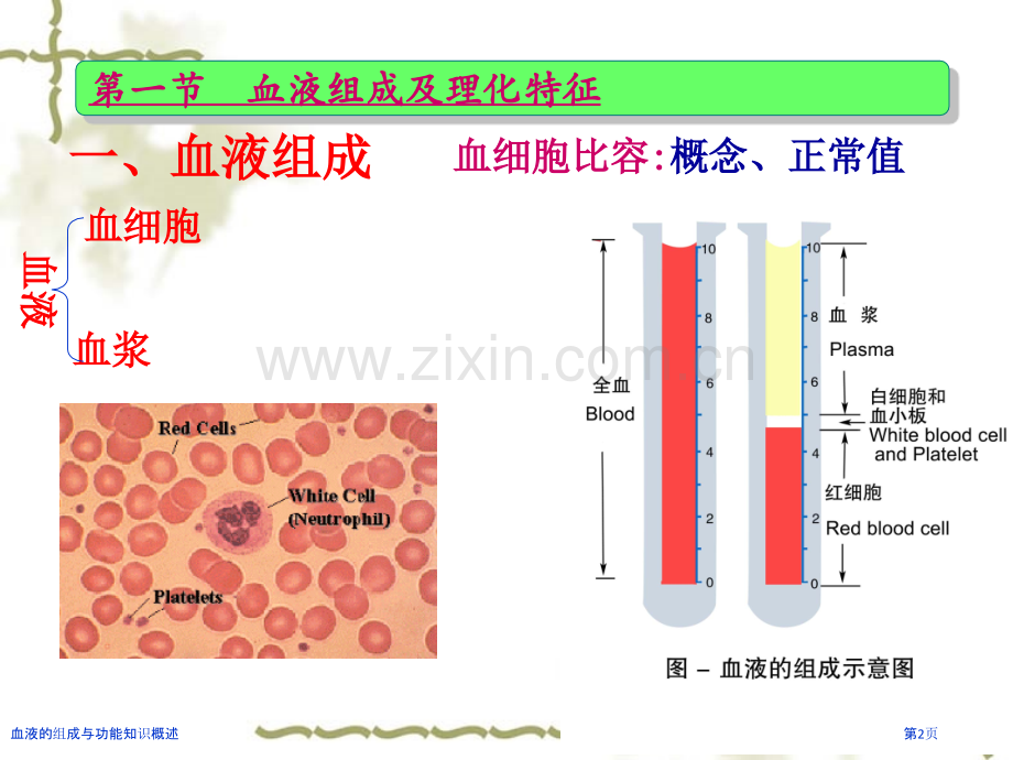 血液的组成与功能知识概述.pptx_第2页