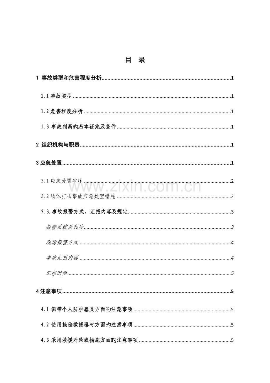 物体打击安全生产事故现场处置方案.doc_第2页