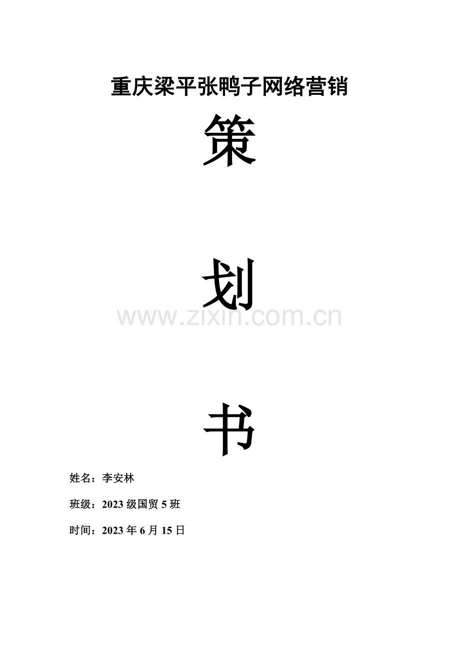 重庆梁平张鸭子网络营销策划书.doc_第1页