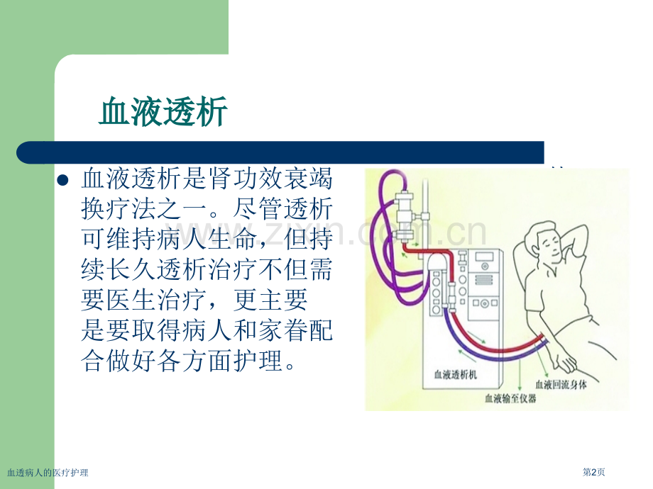 血透病人的医疗护理.pptx_第2页