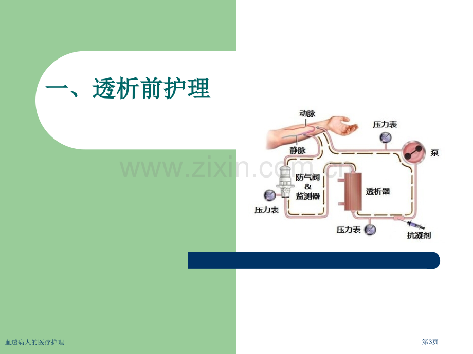 血透病人的医疗护理.pptx_第3页