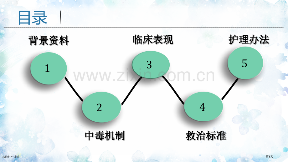 急诊科小讲解.pptx_第3页