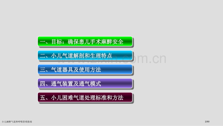 小儿麻醉气道和呼吸管理指南.pptx_第2页