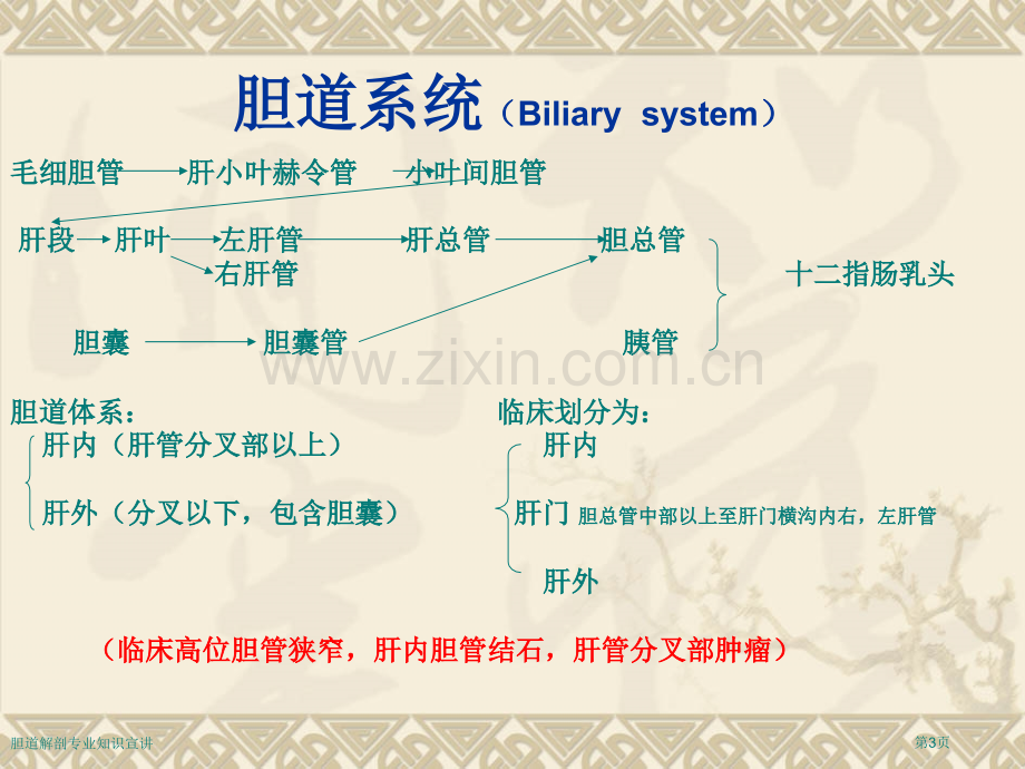 胆道解剖专业知识宣讲.pptx_第3页