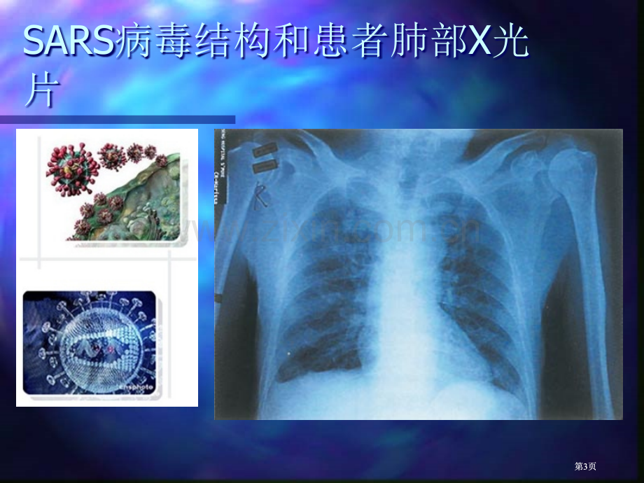 高一生物走进细胞从生物圈到细胞公开课一等奖优质课大赛微课获奖课件.pptx_第3页