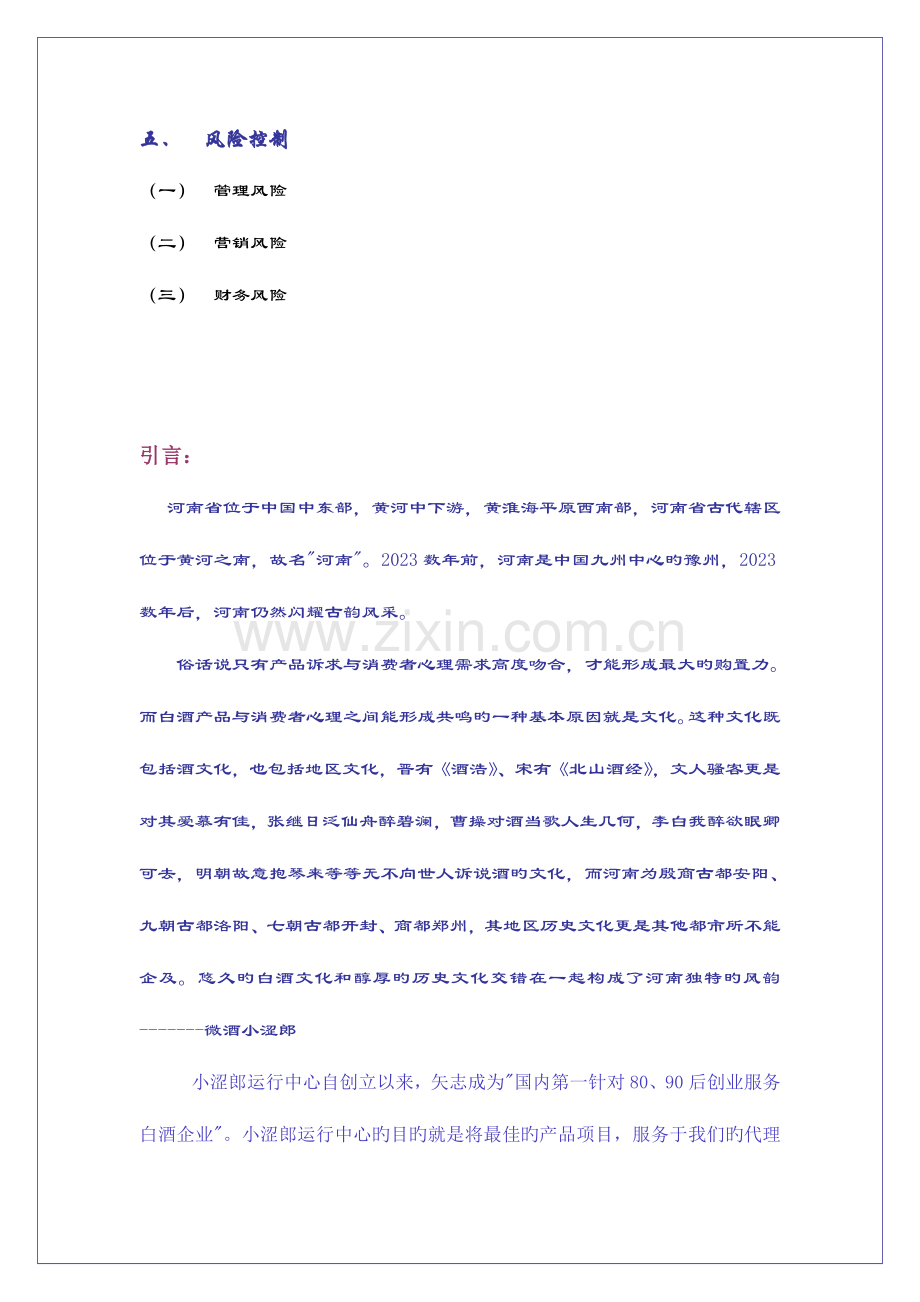 青春小酒酒招商方案.doc_第2页