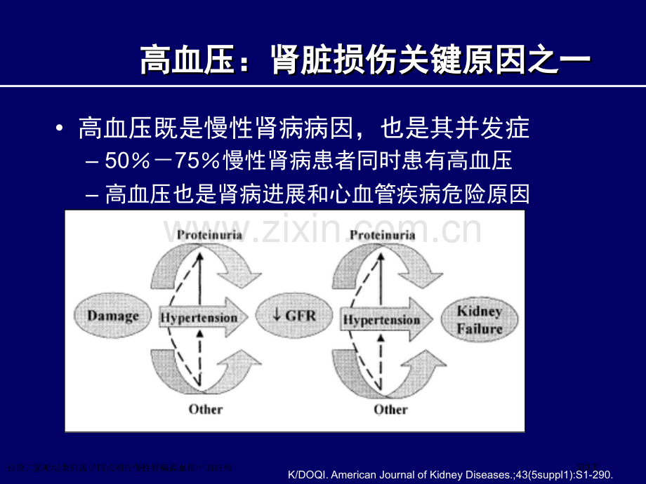 长效二氢吡啶类钙离子拮抗剂在慢性肾病高血压中的应用专家讲座.pptx_第3页