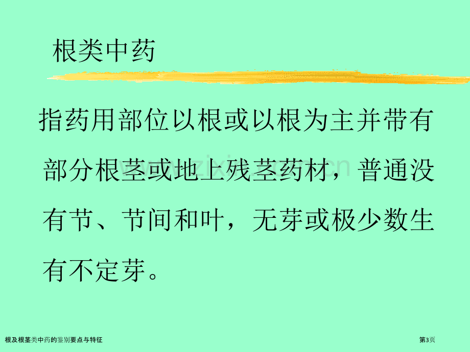 根及根茎类中药的鉴别要点与特征.pptx_第3页