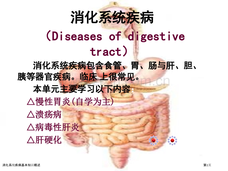 消化系统疾病基本知识概述.pptx_第1页