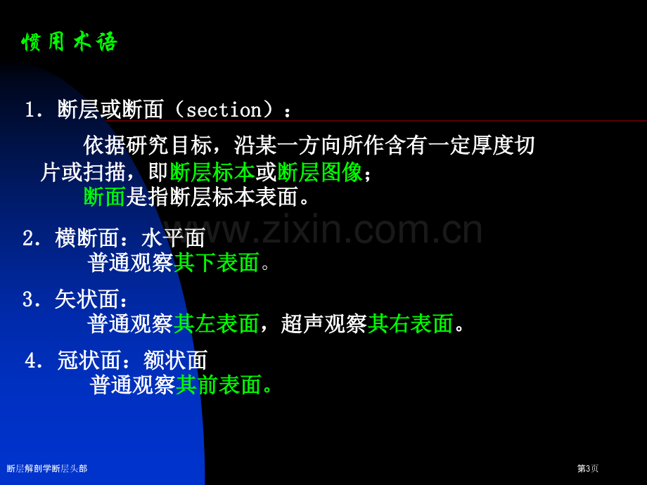 断层解剖学断层头部.pptx_第3页