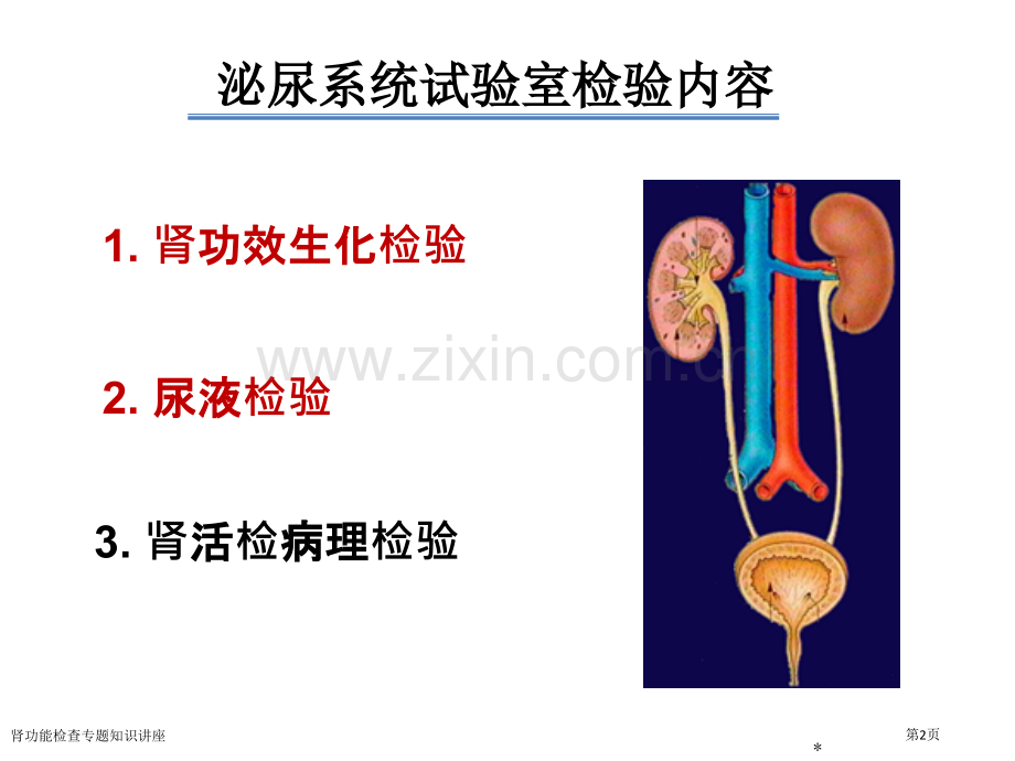 肾功能检查专题知识讲座专家讲座.pptx_第2页