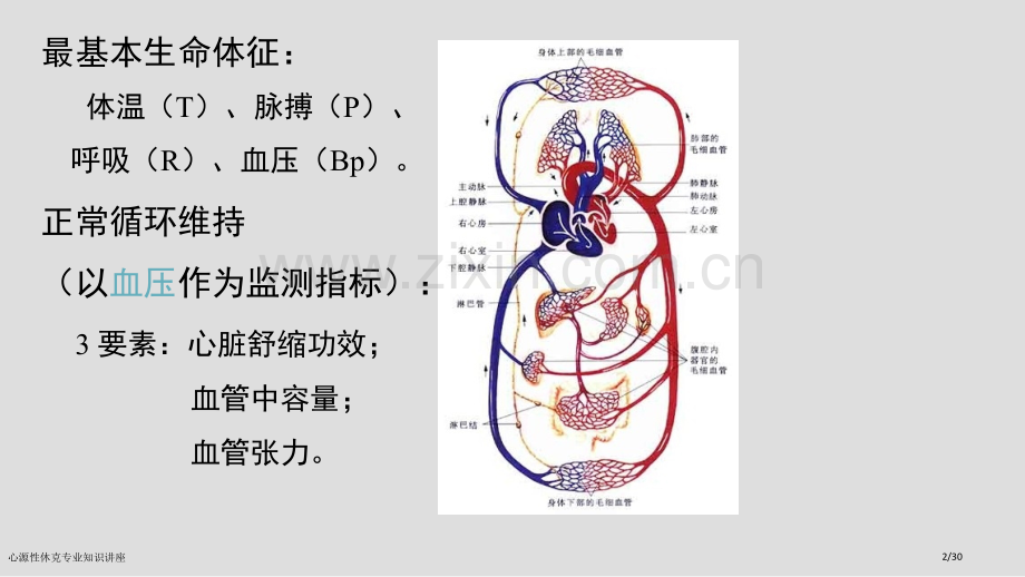 心源性休克专业知识讲座.pptx_第2页