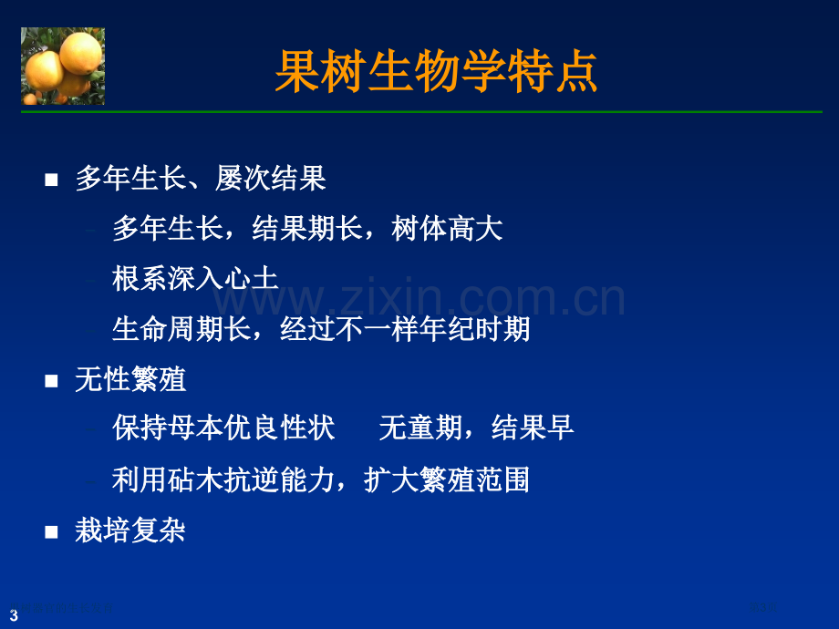 果树器官的生长发育专家讲座.pptx_第3页