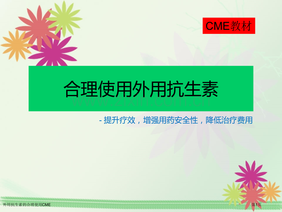 外用抗生素的合理使用CME专家讲座.pptx_第1页