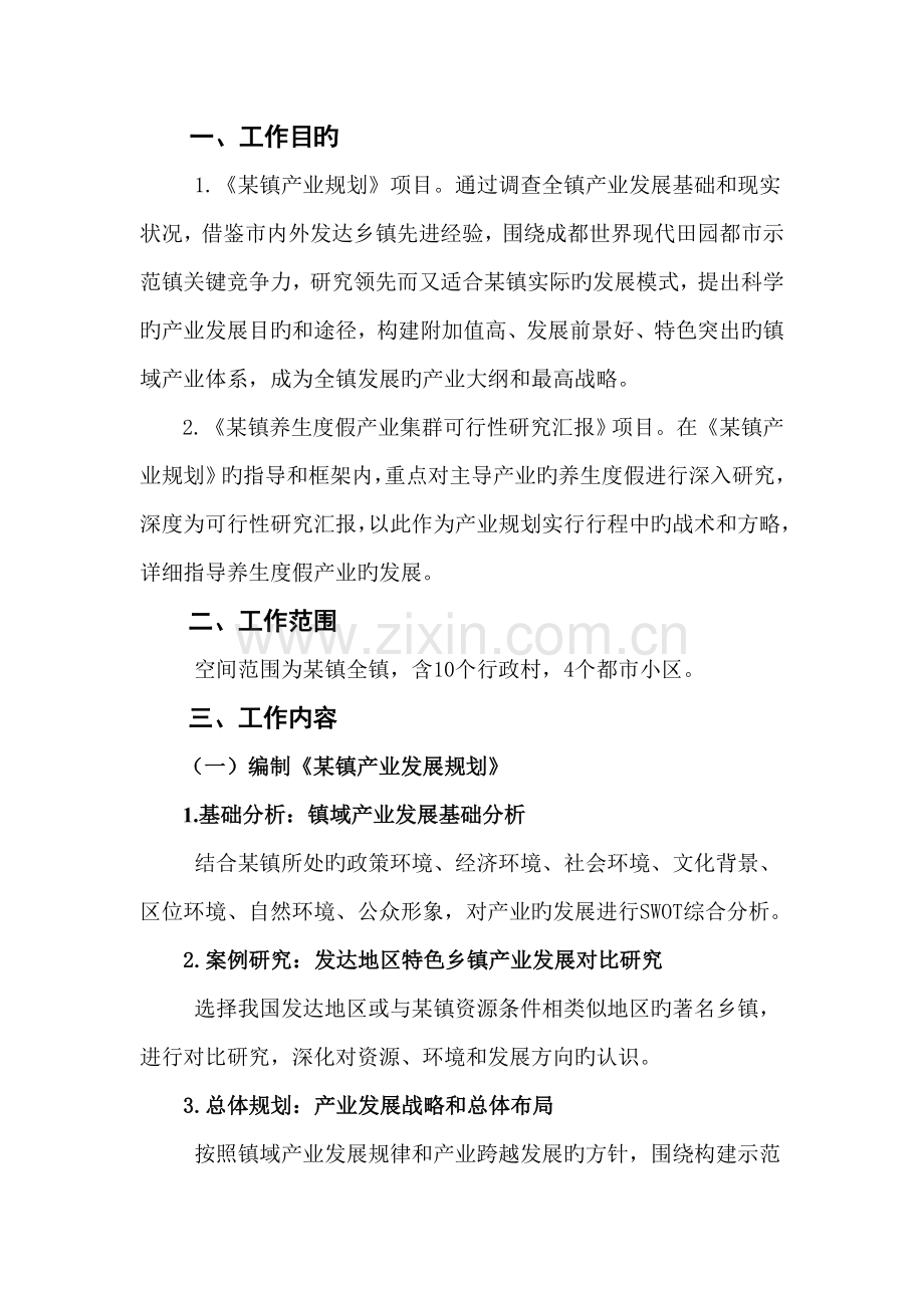 镇战略规划项目计划书.doc_第1页