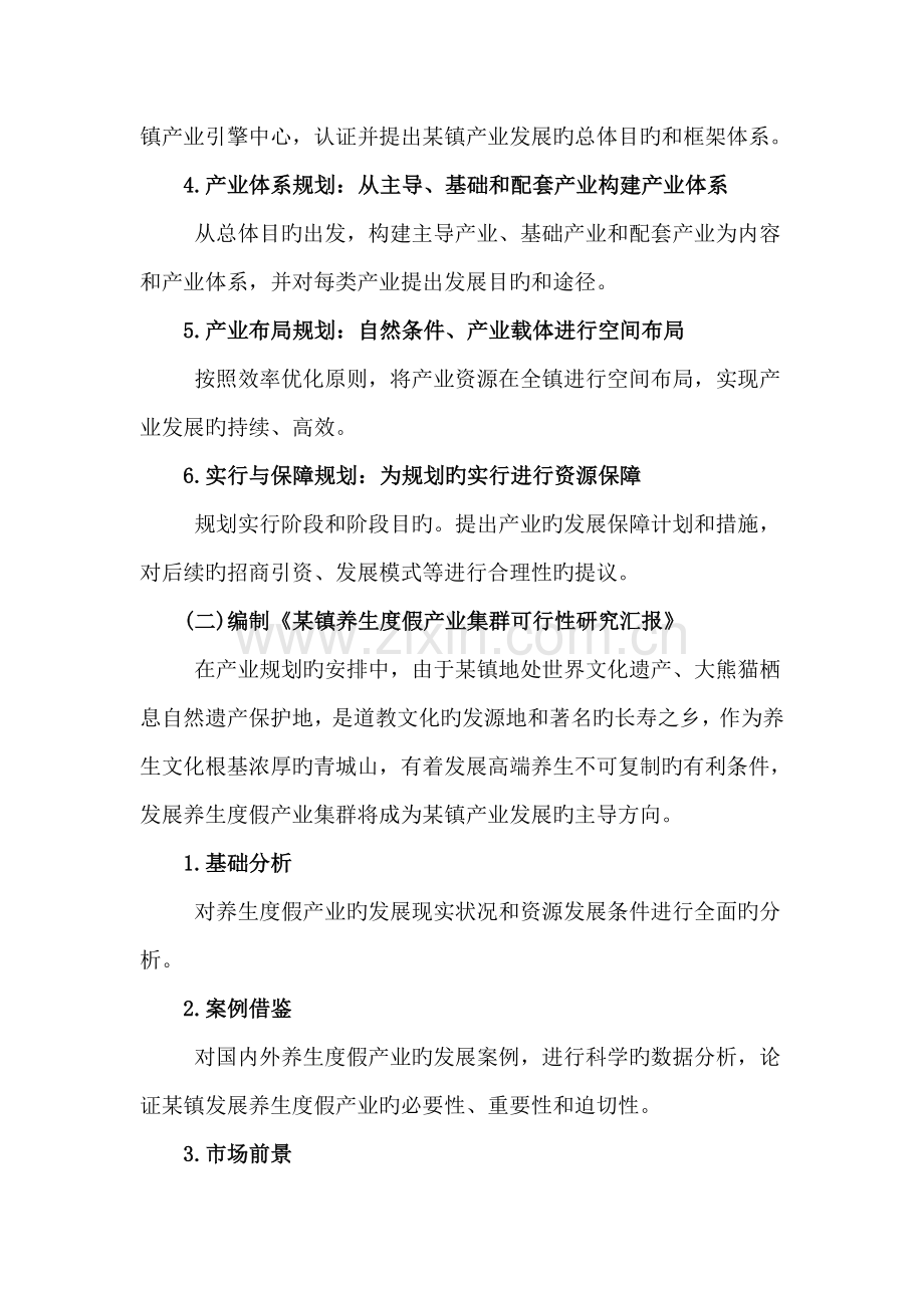 镇战略规划项目计划书.doc_第2页