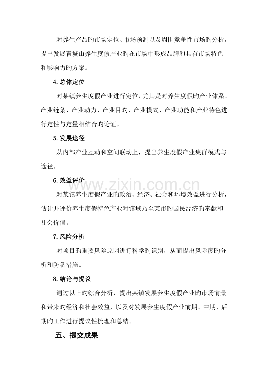 镇战略规划项目计划书.doc_第3页