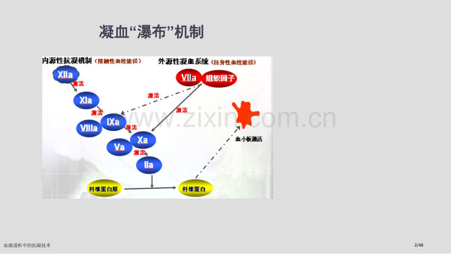 血液透析中的抗凝技术.pptx_第2页