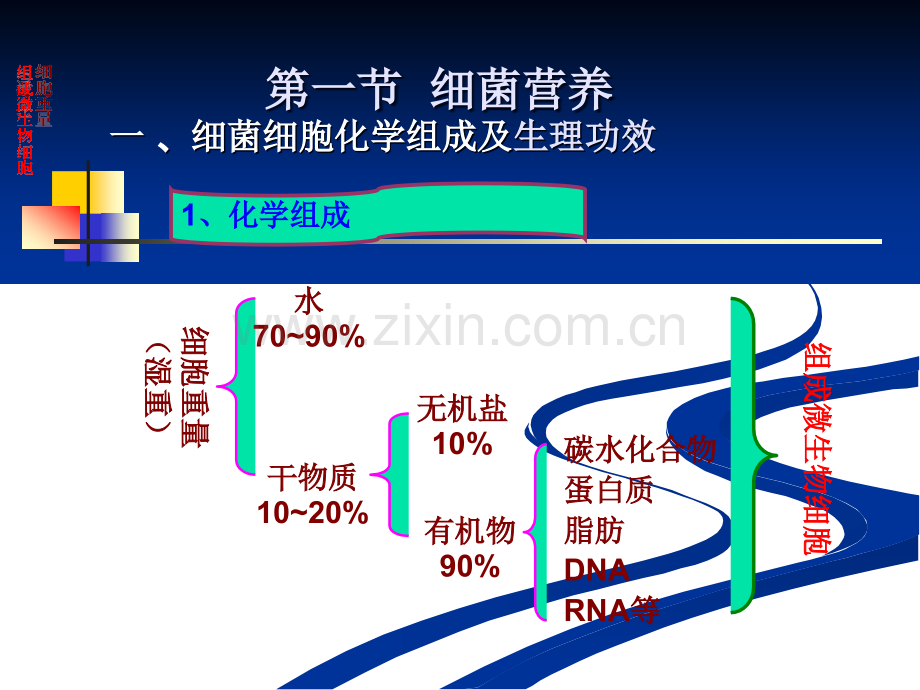 细菌的生理特性专家讲座.pptx_第2页