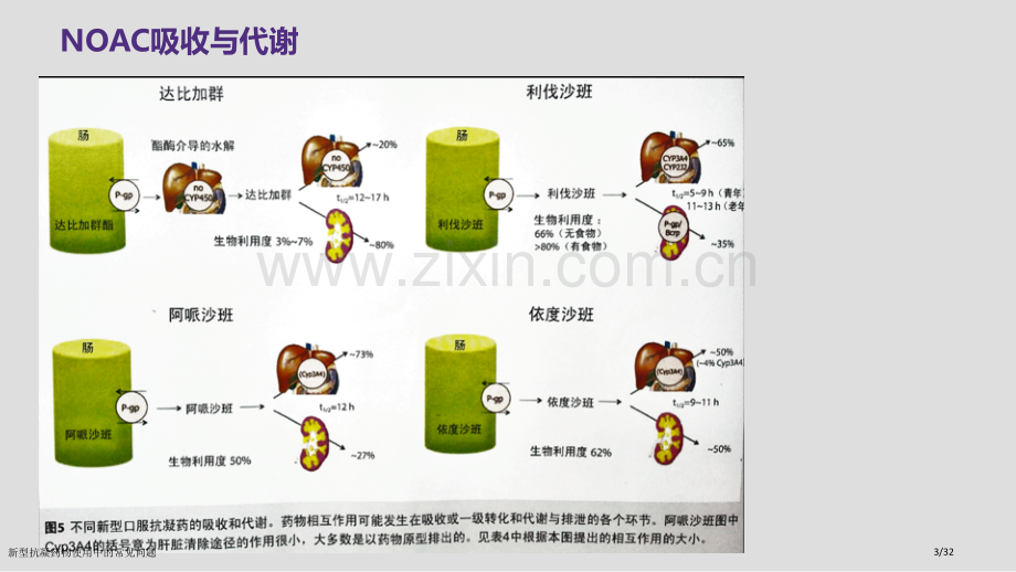 新型抗凝药物使用中的常见问题.pptx_第3页