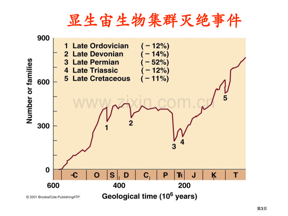 生物灭绝专题培训市公开课金奖市赛课一等奖课件.pptx_第3页