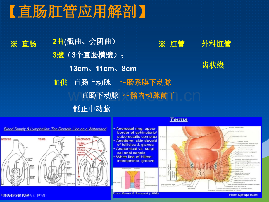 直肠肛管损伤的诊疗和治疗专家讲座.pptx_第3页