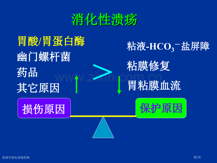 药理学消化系统药物专家讲座.pptx_第3页