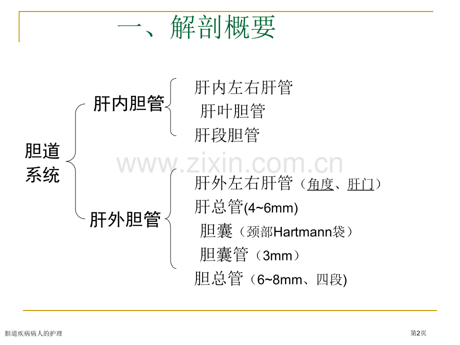 胆道疾病病人的护理.pptx_第2页