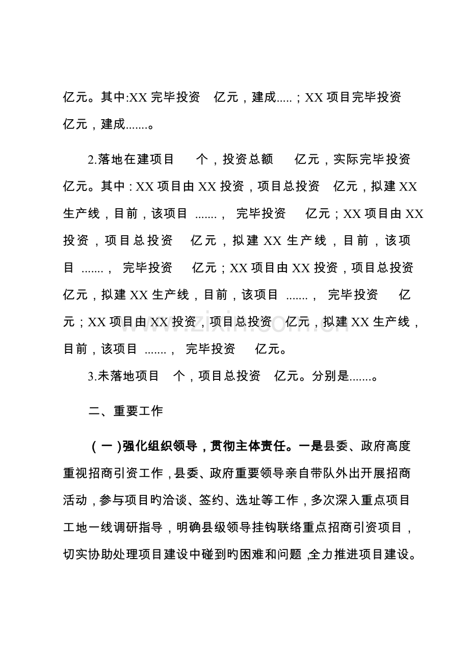 重点招商引资项目推进情况的调研报告.docx_第2页