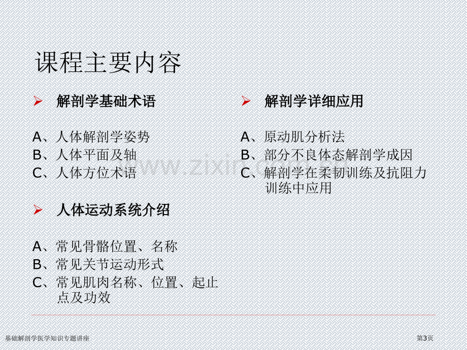 基础解剖学医学知识专题讲座专家讲座.pptx_第3页