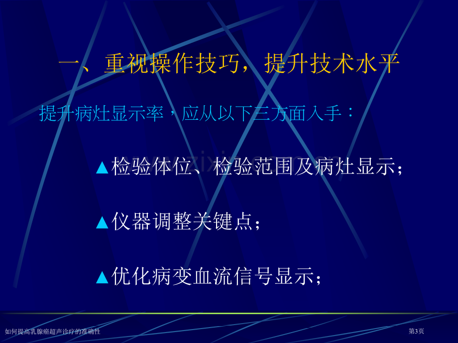 如何提高乳腺癌超声诊疗的准确性专家讲座.pptx_第3页