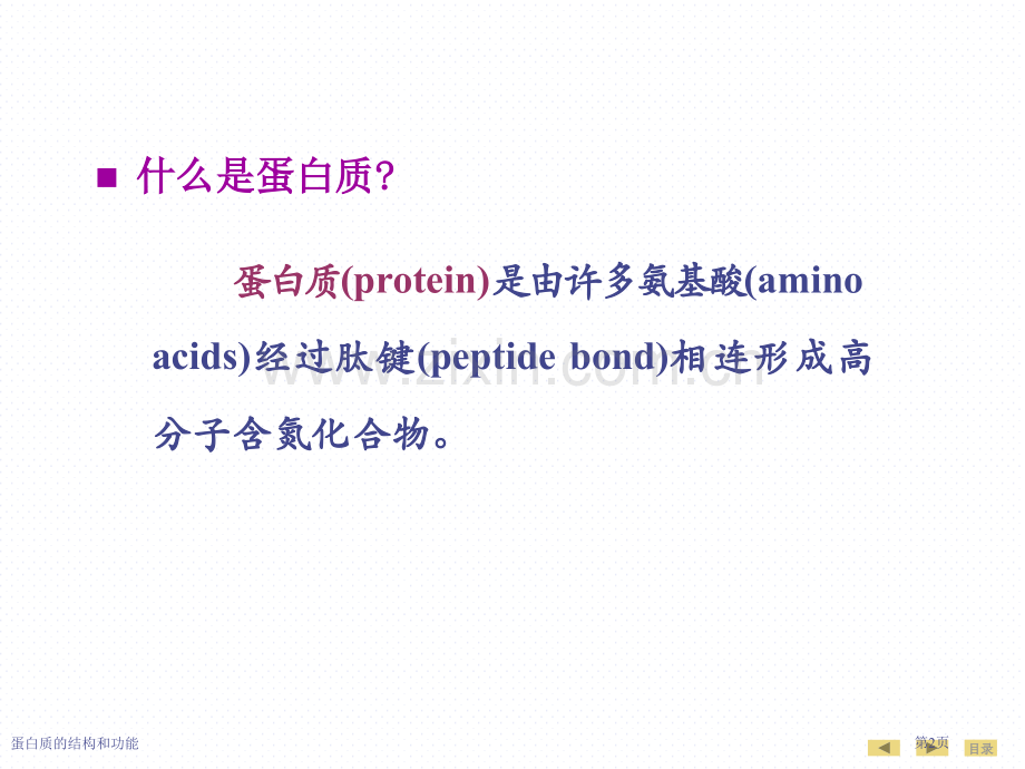 蛋白质的结构和功能.pptx_第2页