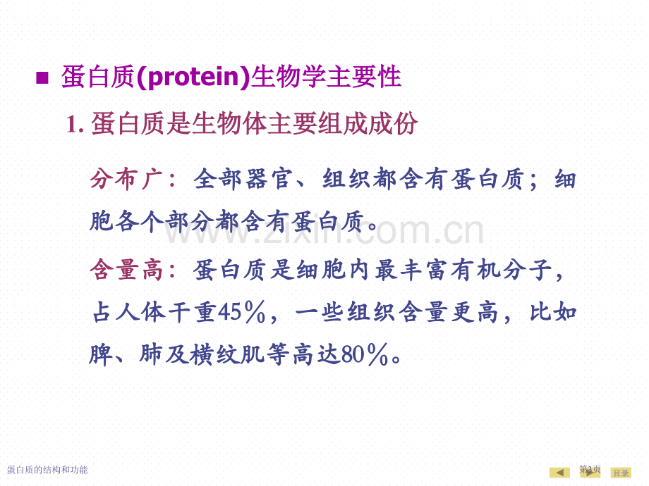 蛋白质的结构和功能.pptx_第3页