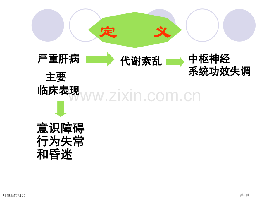 肝性脑病研究专家讲座.pptx_第3页