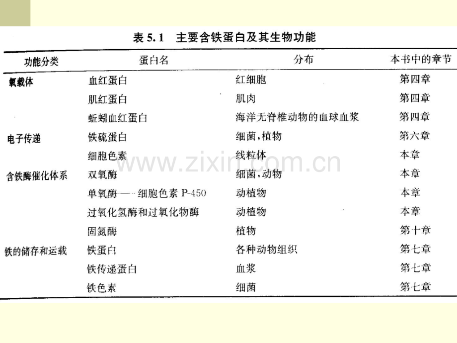 5-血红素蛋白.pptx_第3页