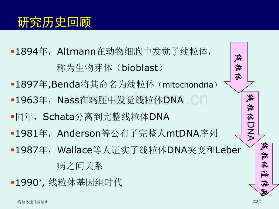 线粒体遗传病培训专家讲座.pptx_第2页