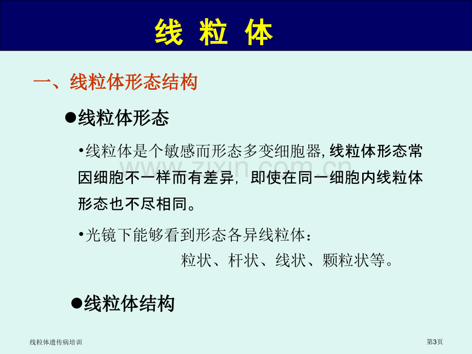 线粒体遗传病培训专家讲座.pptx_第3页