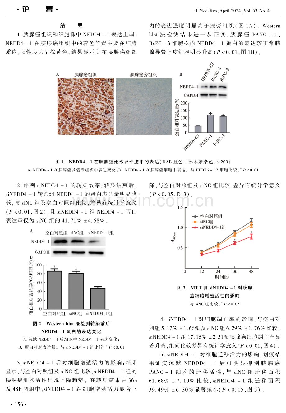 NEDD4-1调控JAK2_STAT3通路参与胰腺癌发生、发展的研究 (1).pdf_第3页