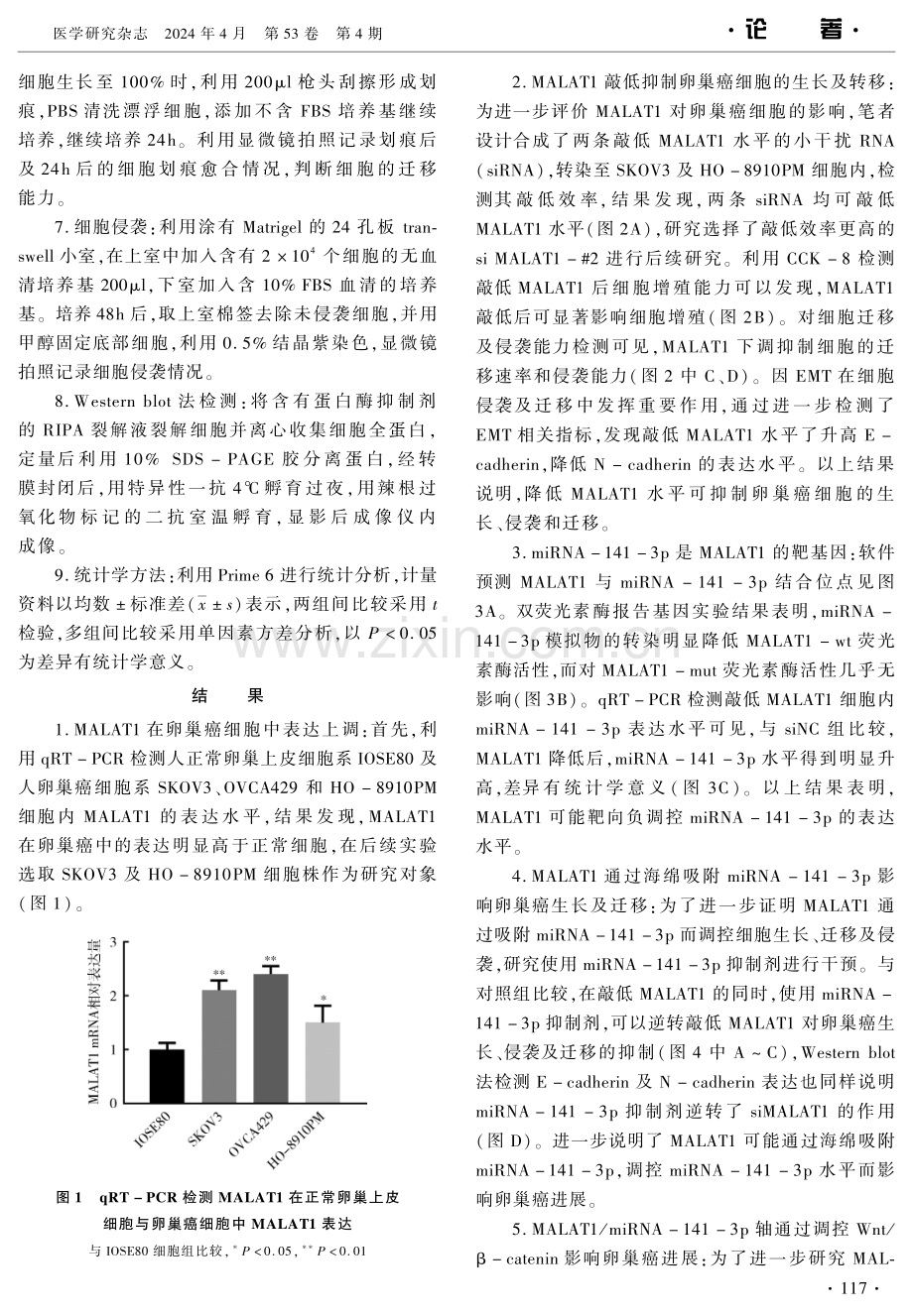 lncRNA MALAT1通过海绵吸附miRNA-141-3p调控Wnt_β-catenin促进卵巢癌的生长及转移 (1).pdf_第3页