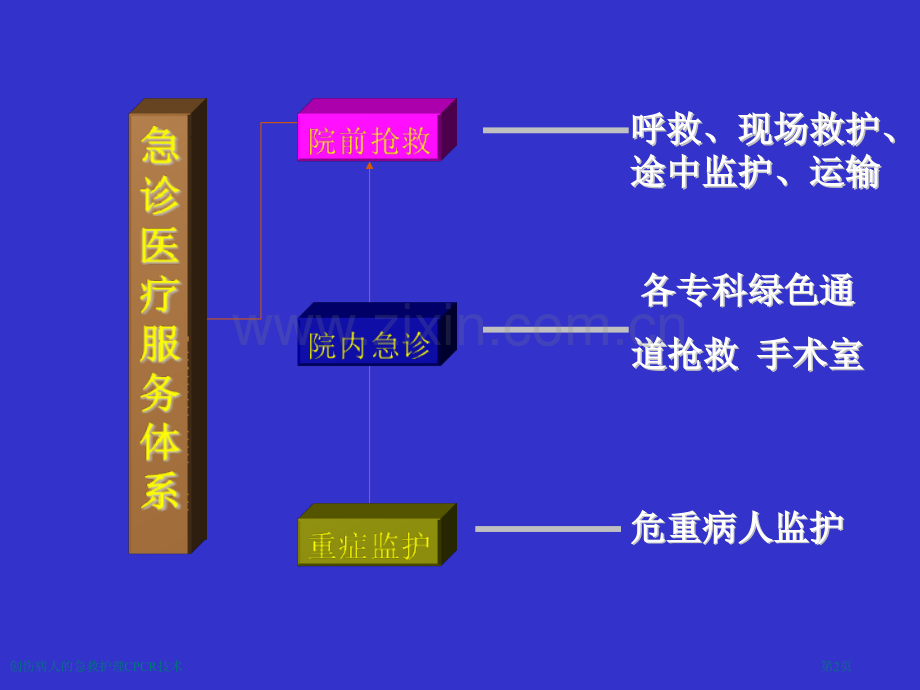 创伤病人的急救护理CPCR技术专家讲座.pptx_第2页