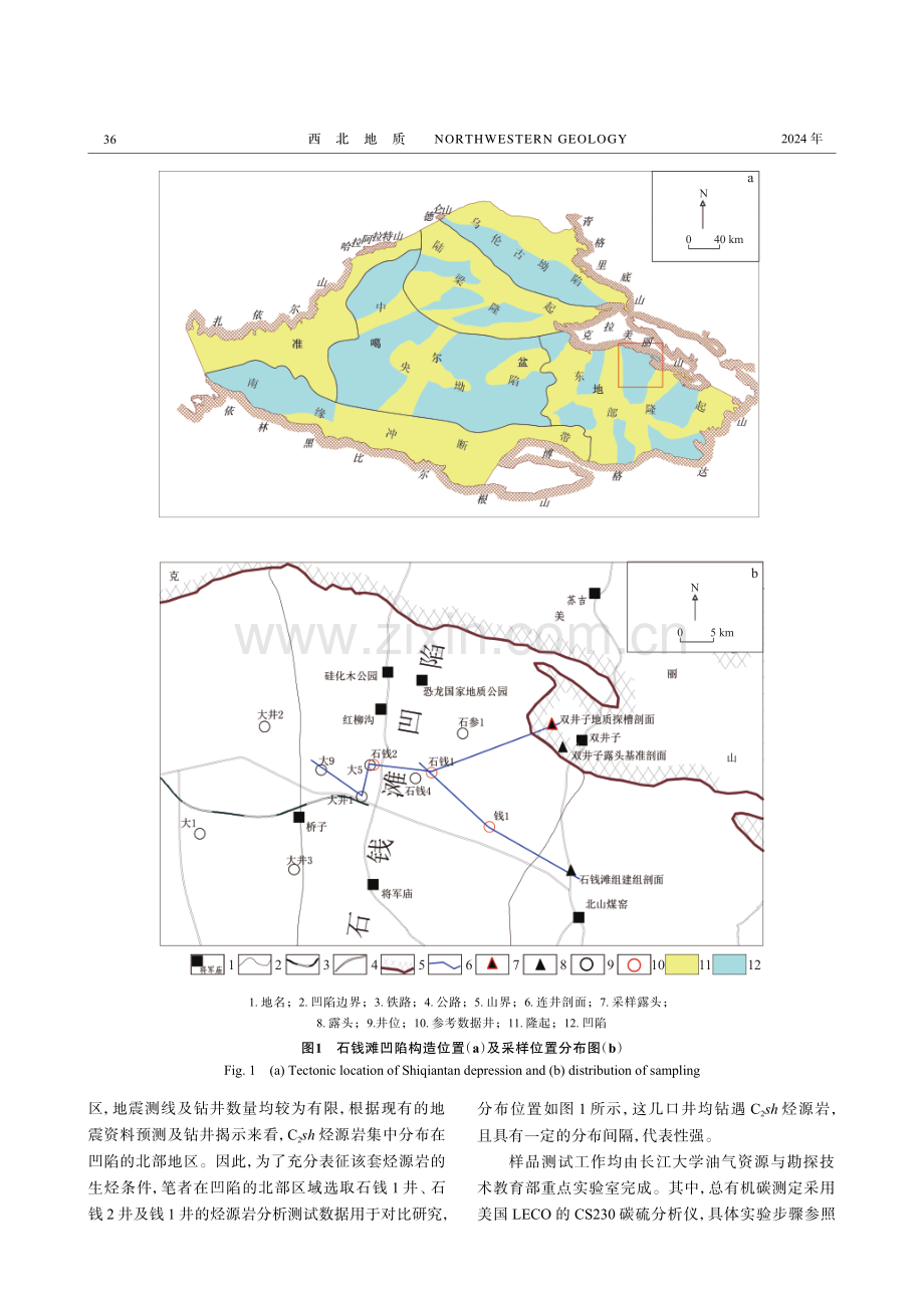 准噶尔盆地东部石钱滩凹陷石炭系石钱滩组烃源岩特征及其生烃潜力分析.pdf_第3页